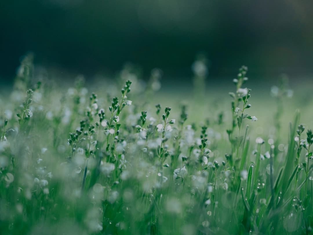 Touching Grass